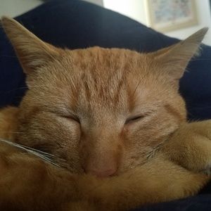 Meet your Posher, Bret